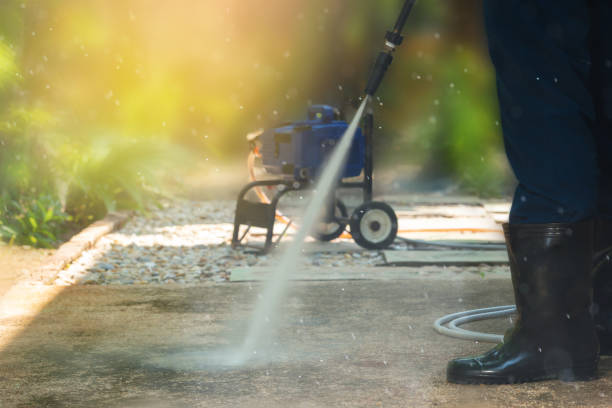 Best Soft Washing  in Dickinson, ND